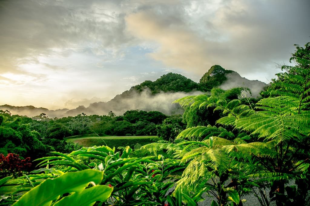Utuado Vacation Rental