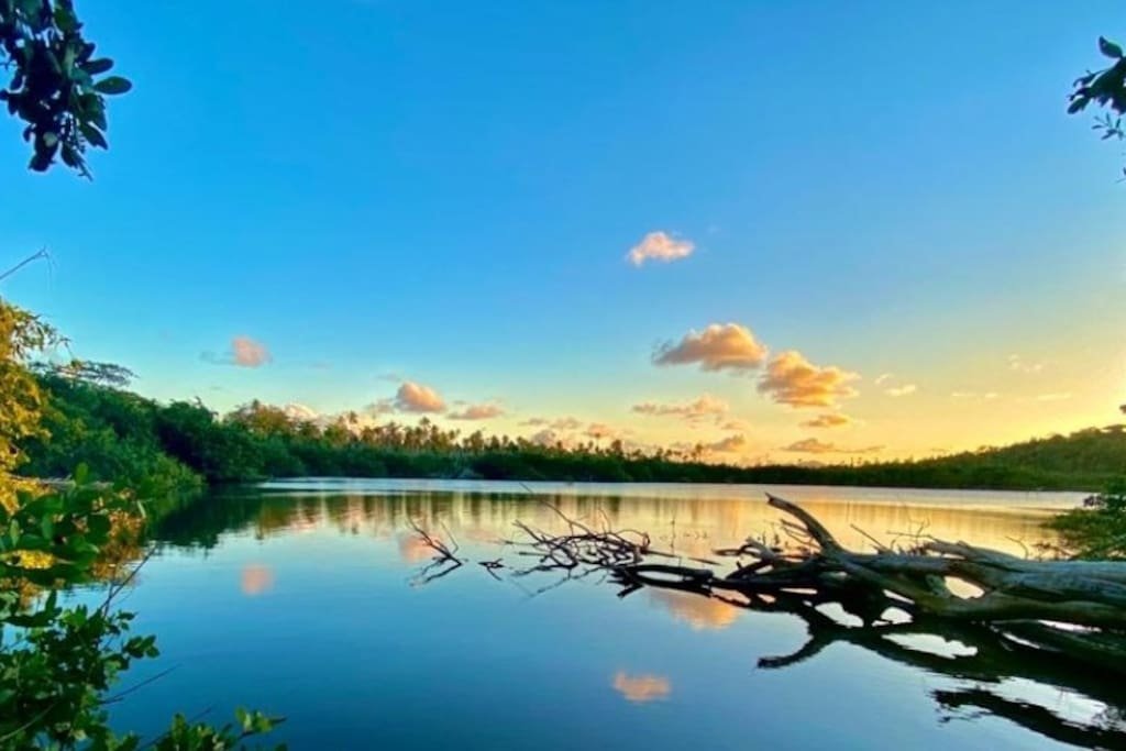 Humaco Vacation Rental