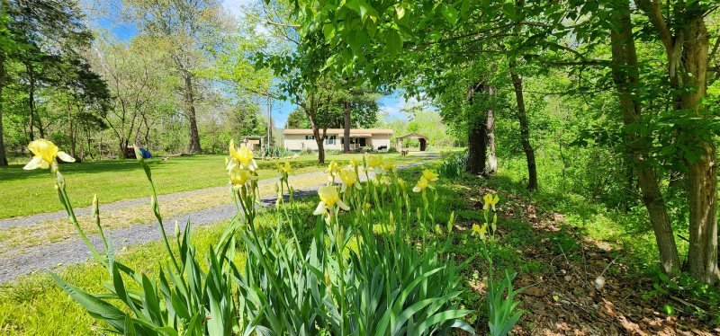 Luray Vacation Rental