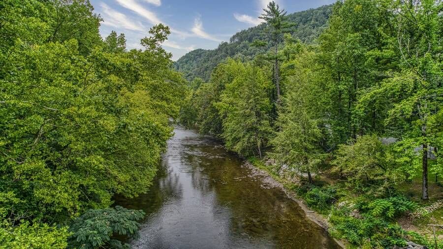 Walland Vacation Rental