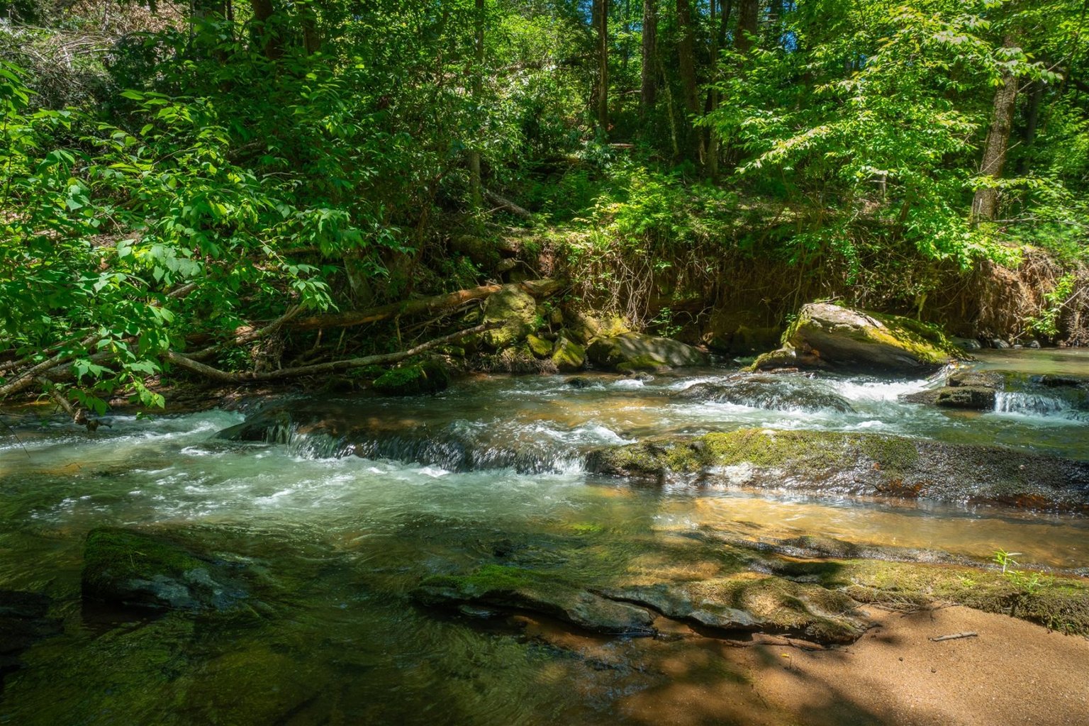 Cleveland Vacation Rental