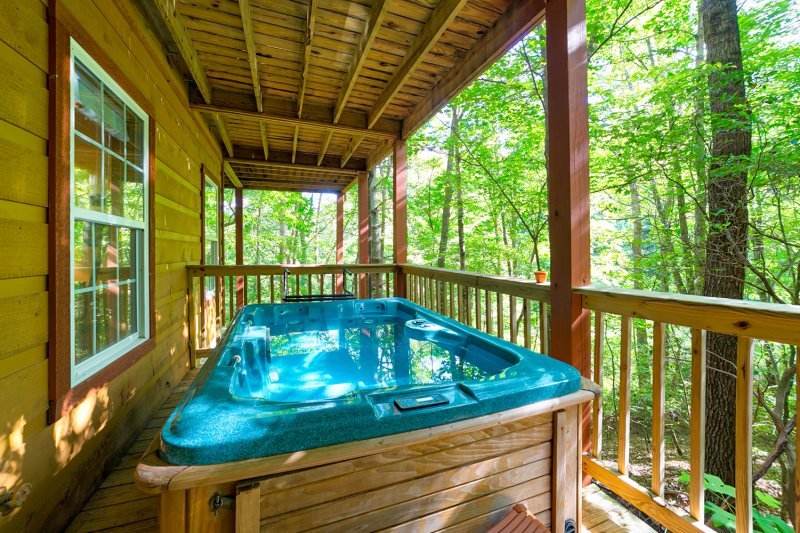 Helen Vacation Rental