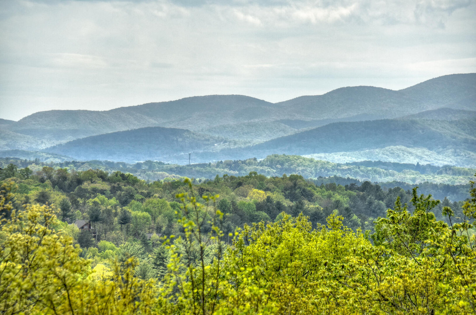 Mineral Bluff Vacation Rental