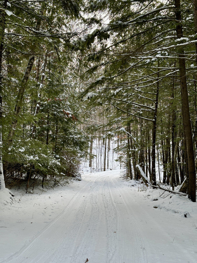 Hayward Vacation Rental