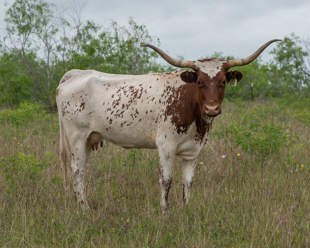 Martindale Vacation Rental