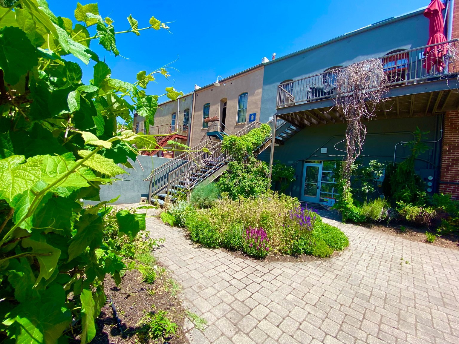 Fort Collins Vacation Rental