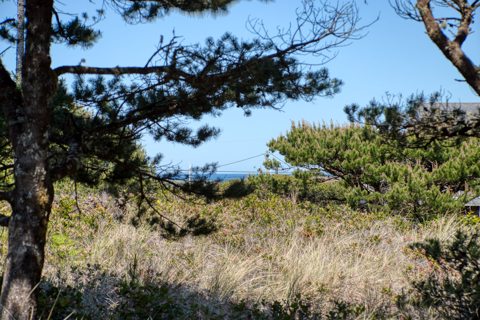 Manzanita Vacation Rental