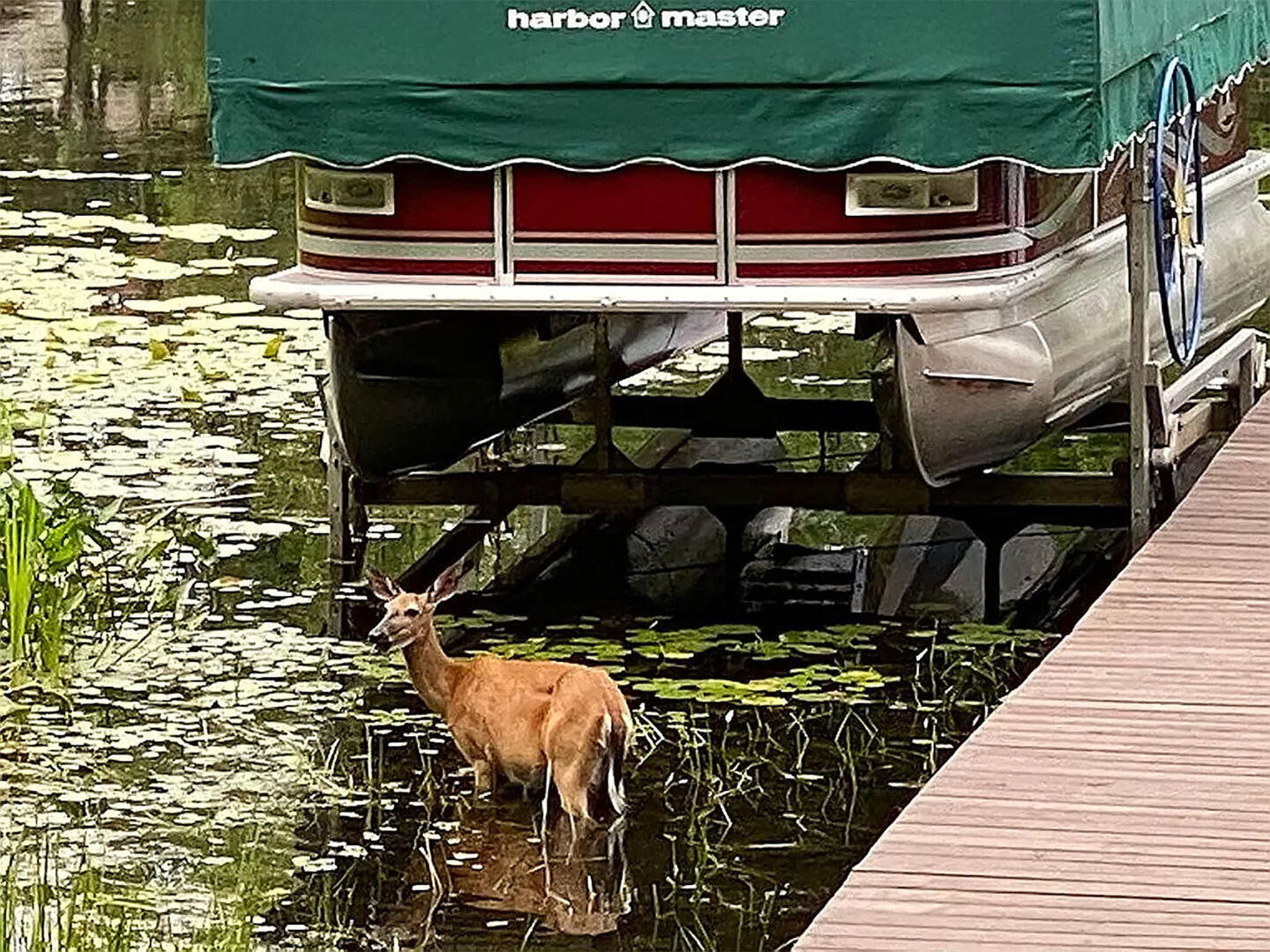 Minocqua Vacation Rental