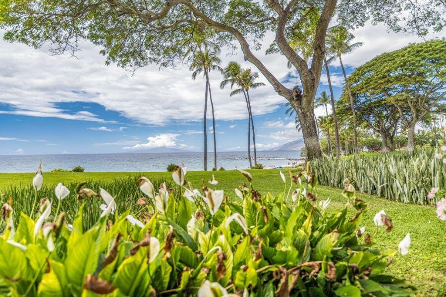 Wailea, Maui Vacation Rental
