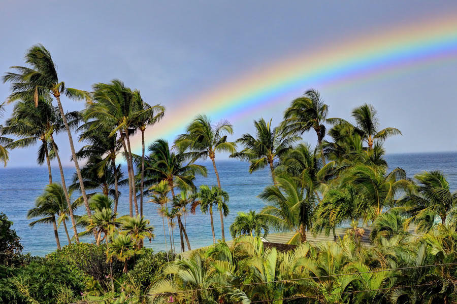 Wailea, Maui Vacation Rental