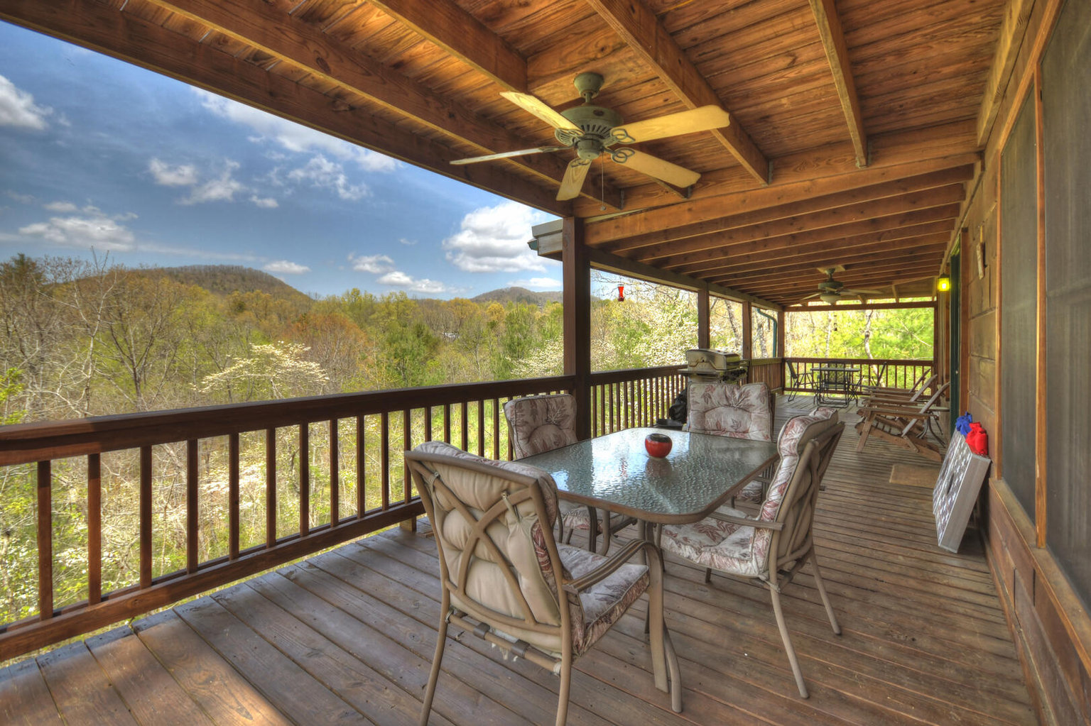 Mineral Bluff Vacation Rental