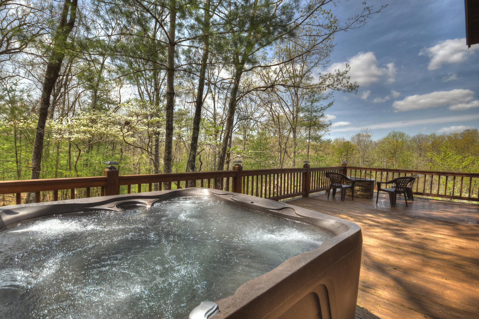 Mineral Bluff Vacation Rental