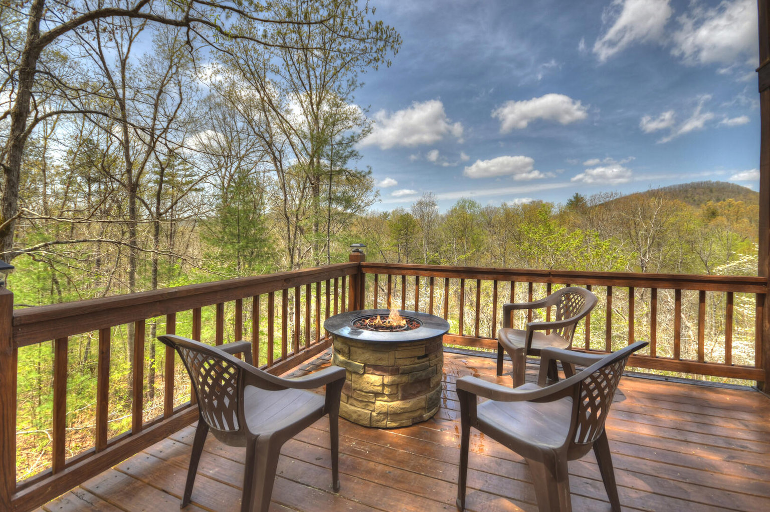Mineral Bluff Vacation Rental