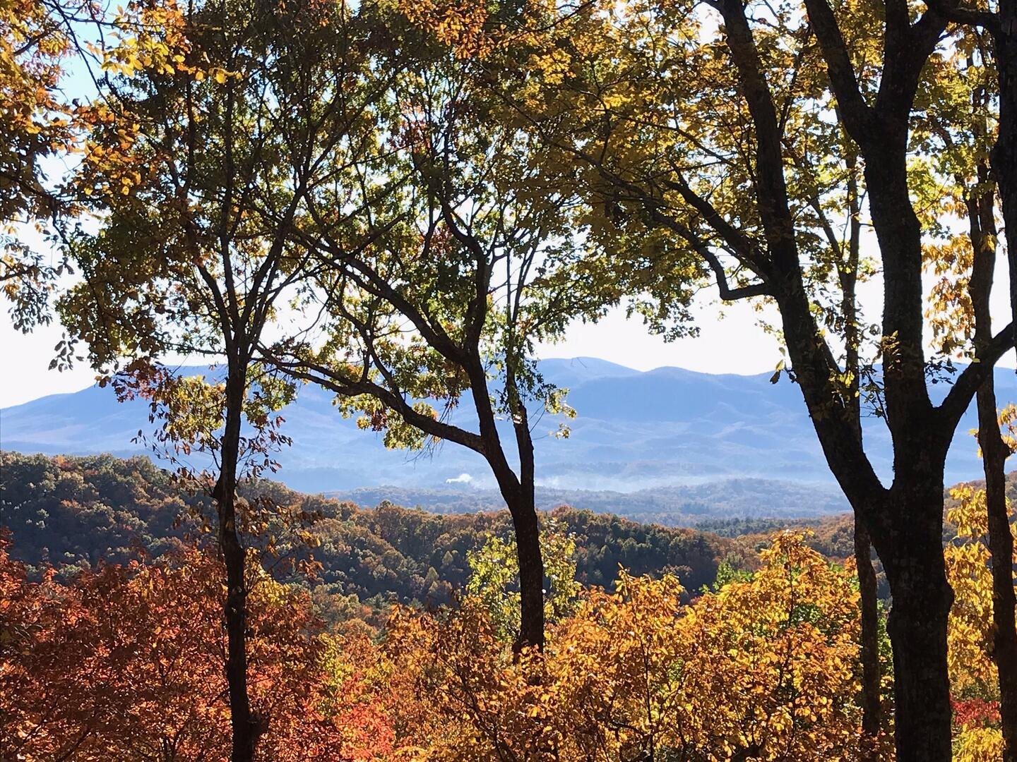 Ellijay Vacation Rental