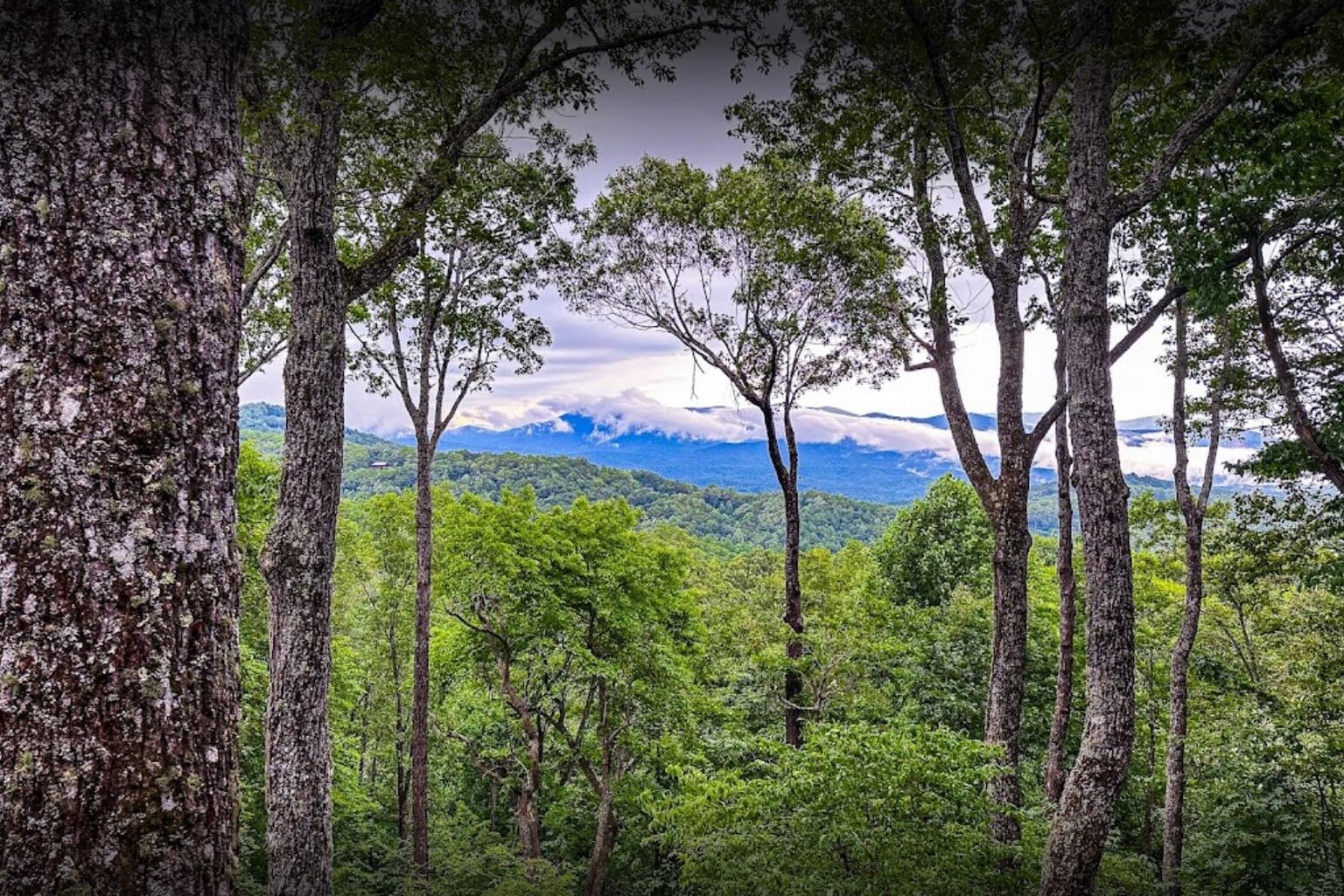 Ellijay Vacation Rental