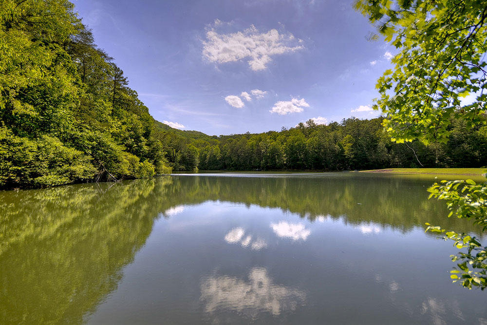 Ellijay Vacation Rental