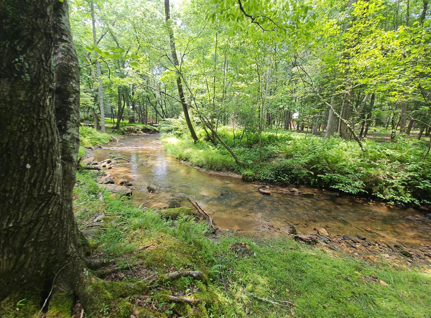 Blue Ridge Vacation Rental