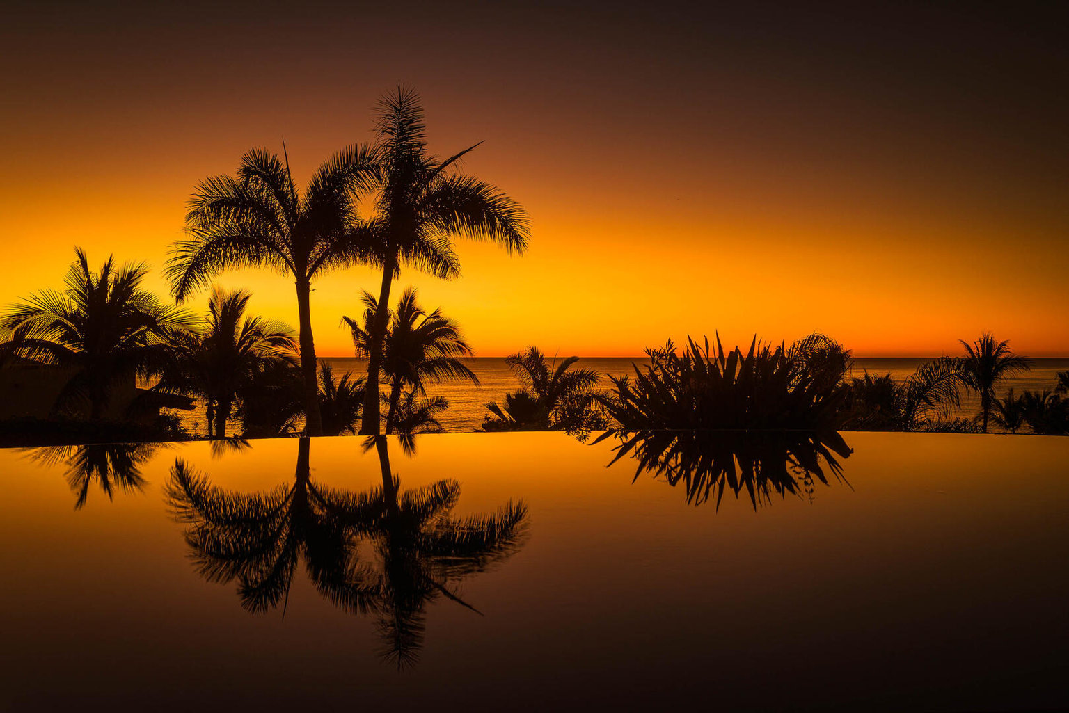 Palmilla Vacation Rental