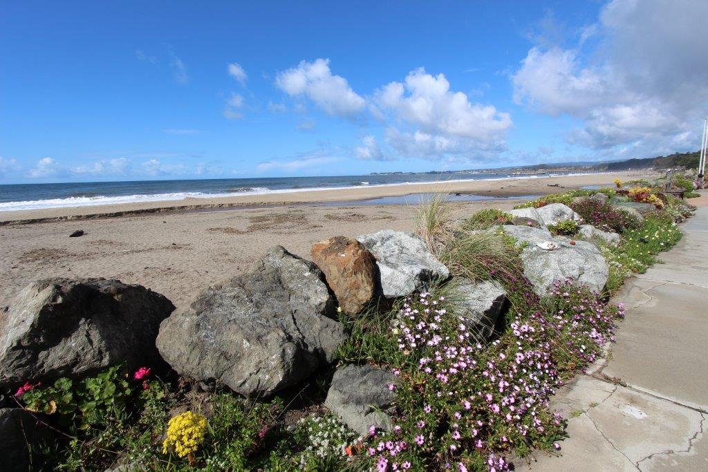 Aptos Vacation Rental