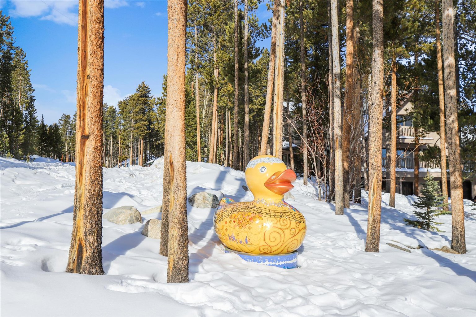 Breckenridge Vacation Rental