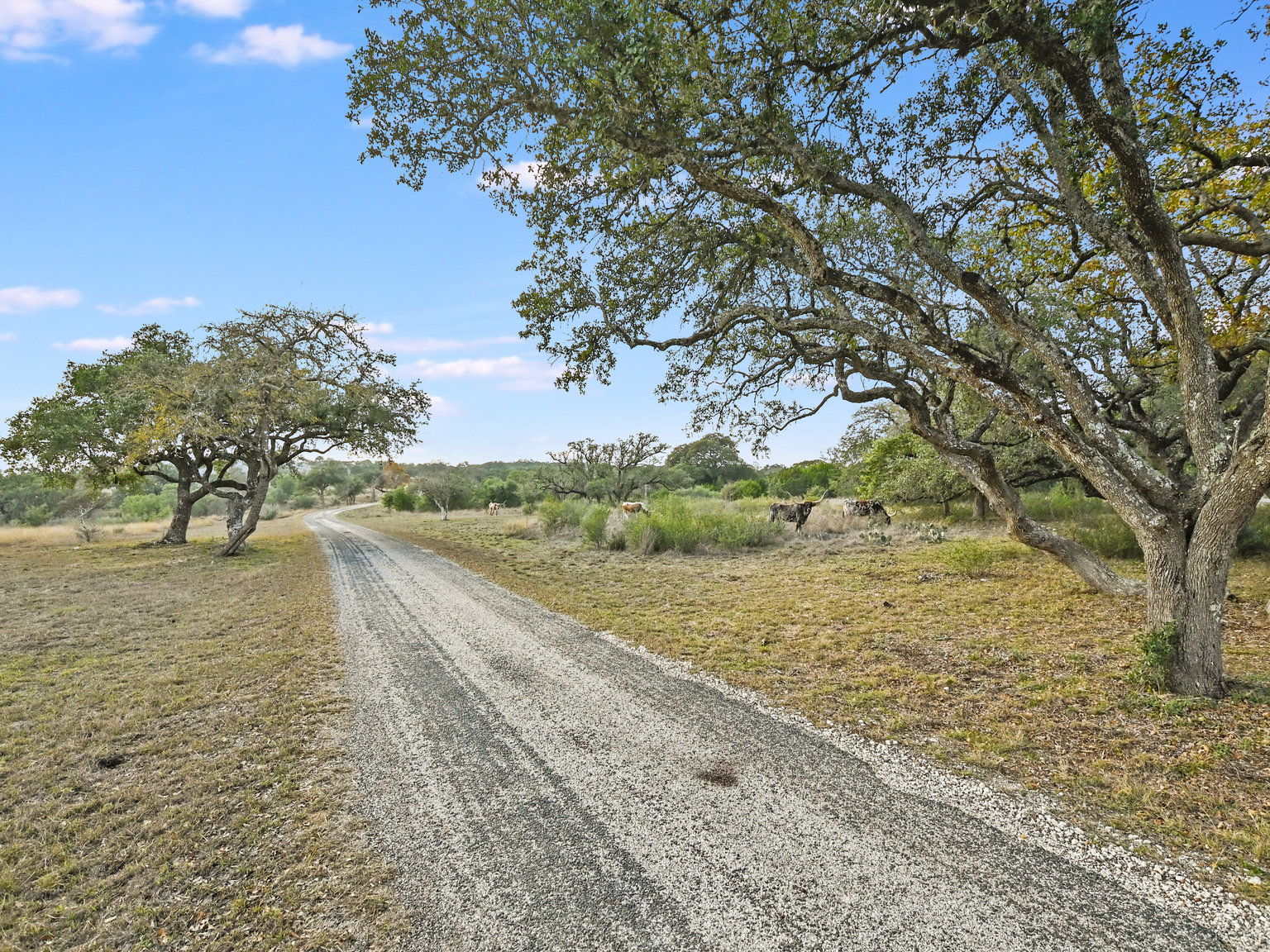 Dripping Springs Vacation Rental