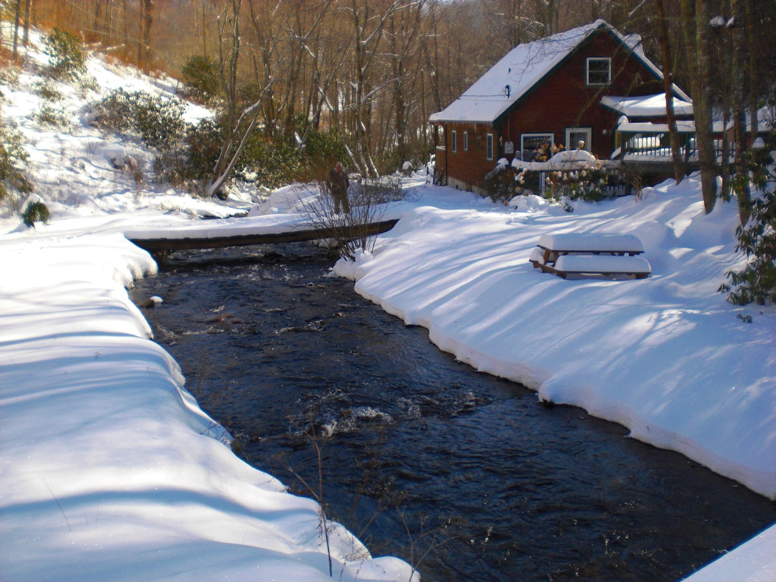 Todd Vacation Rental