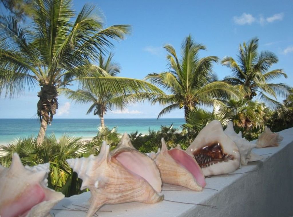 Windermere Vacation Rental