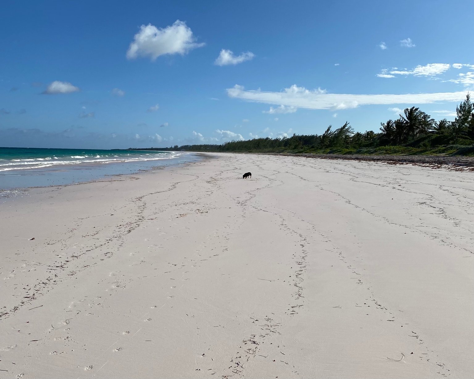 Windermere Vacation Rental