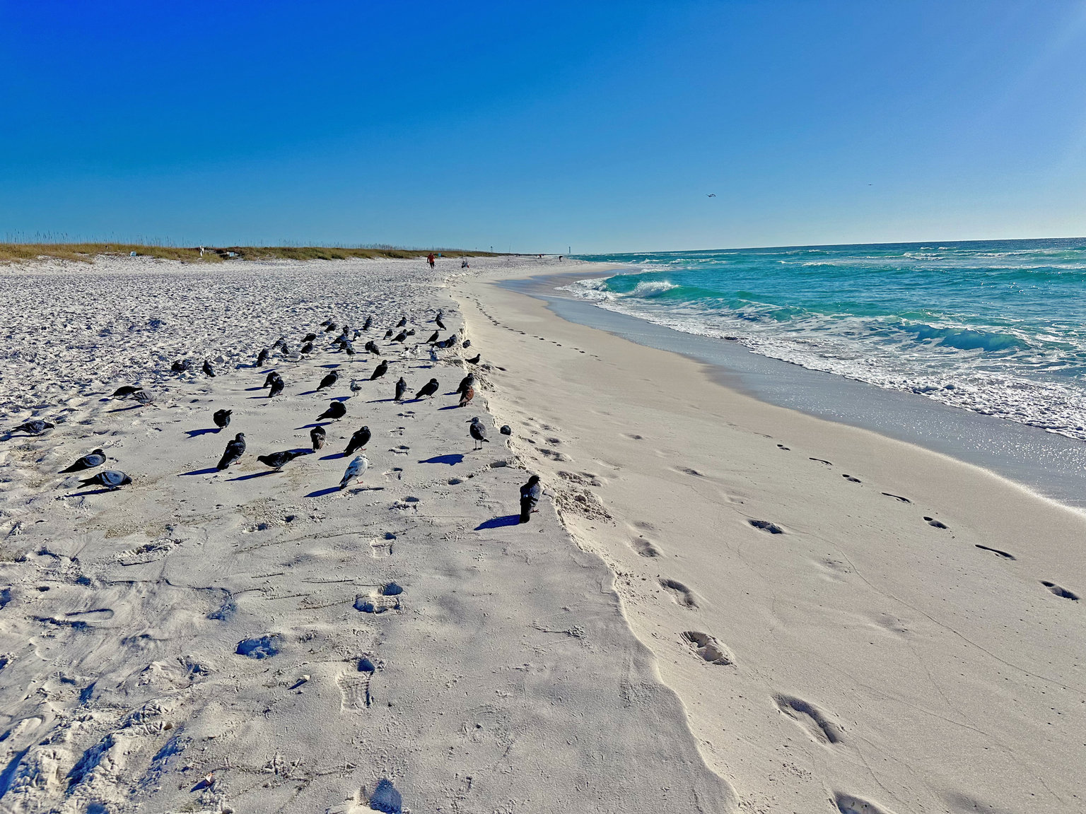 Pensacola Vacation Rental