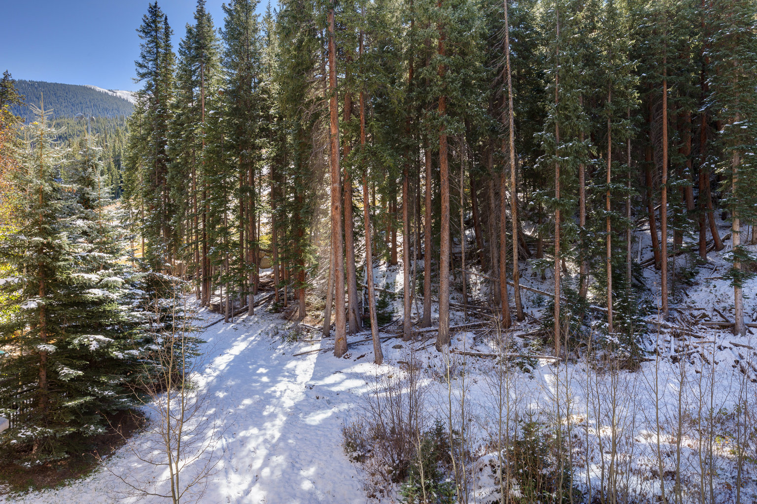 Keystone Vacation Rental