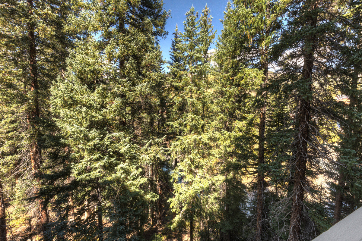 Keystone Vacation Rental