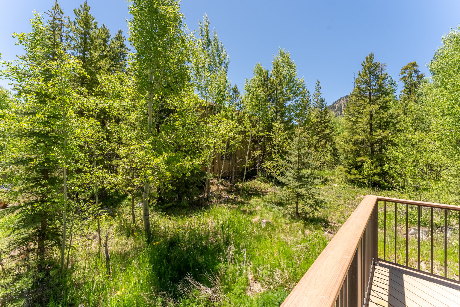 Frisco Vacation Rental