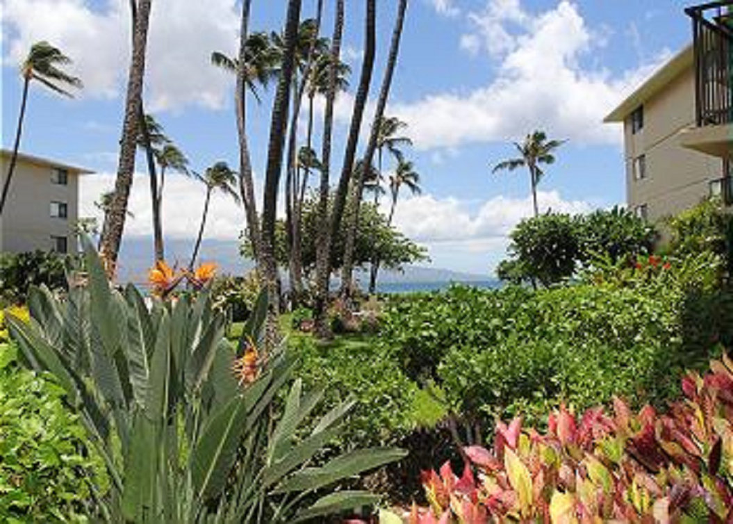 Wailuku Vacation Rental