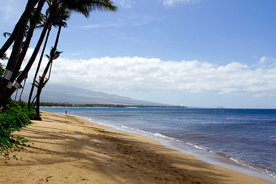 Kihei Vacation Rental
