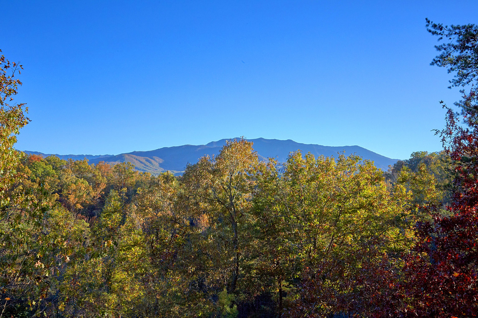 Gatlinburg Vacation Rental