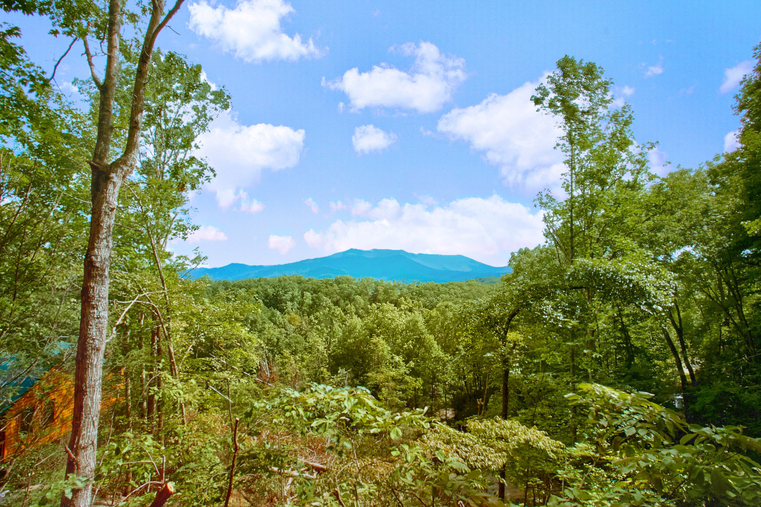 Gatlinburg Vacation Rental