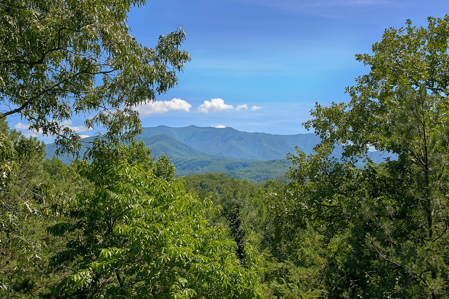 Gatlinburg Vacation Rental
