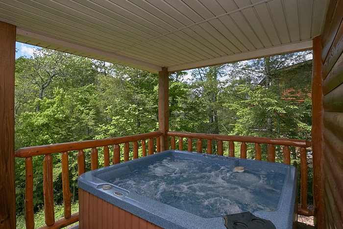 Cosby Vacation Rental