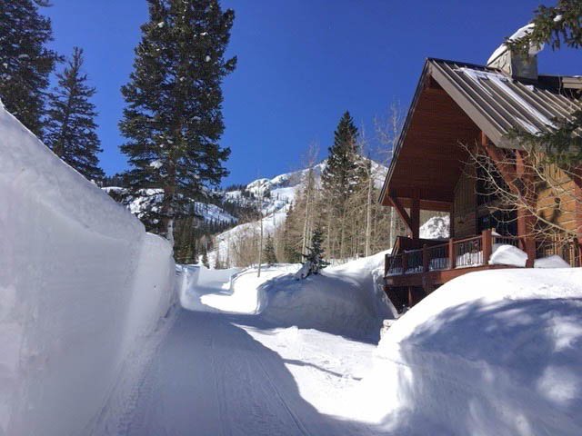 Brighton Vacation Rental