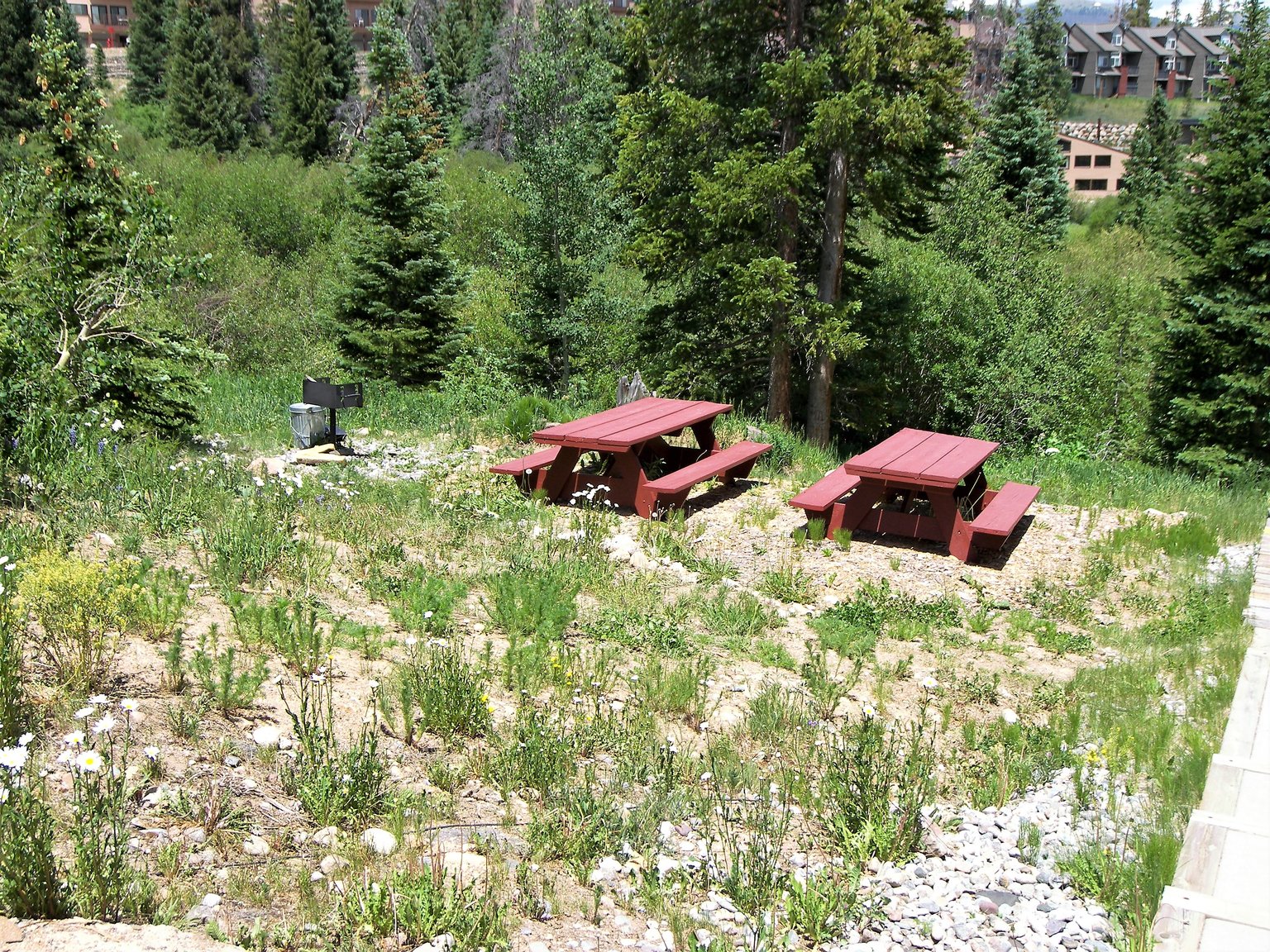 Wildernest Vacation Rental