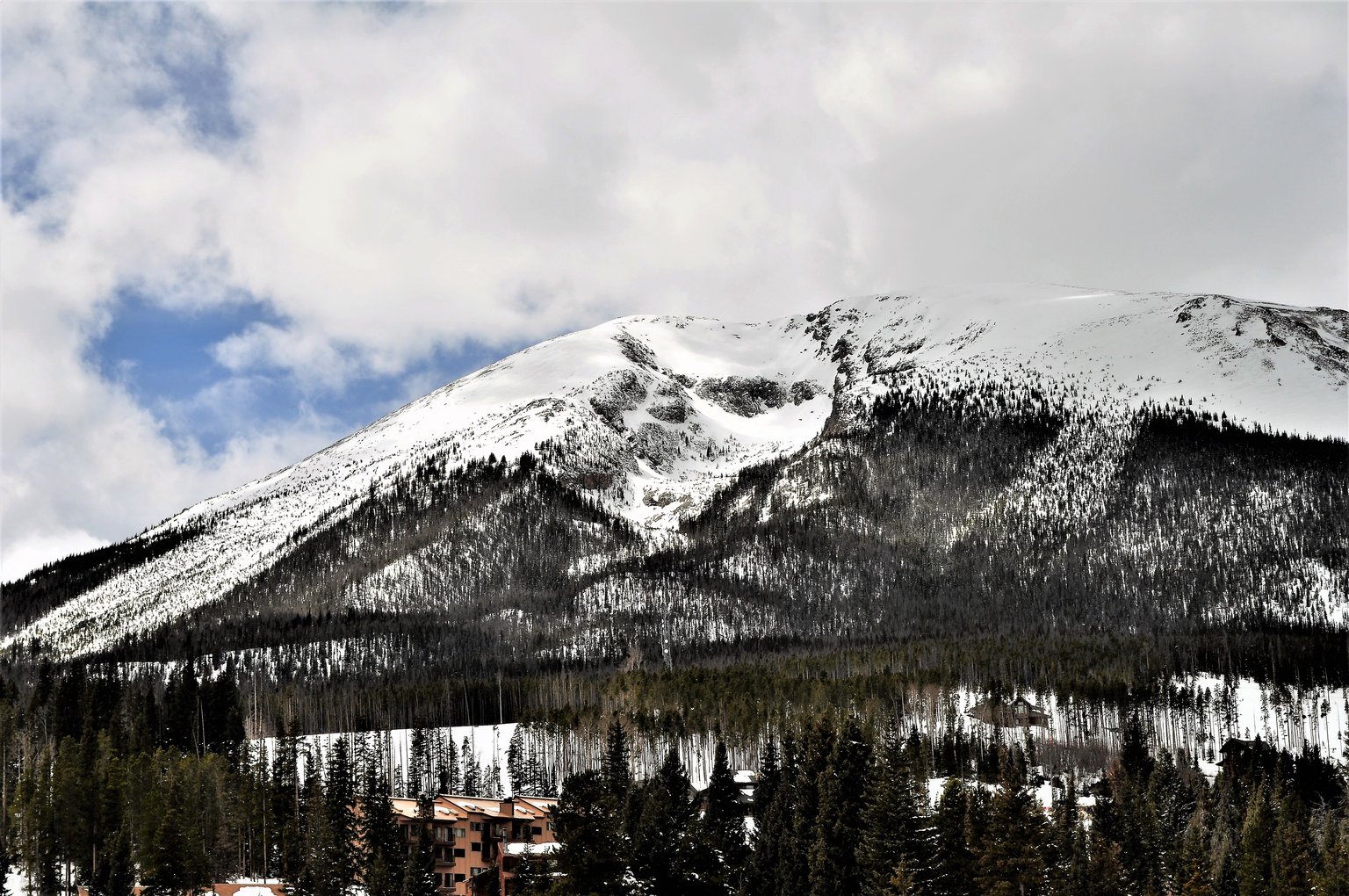 Wildernest Vacation Rental