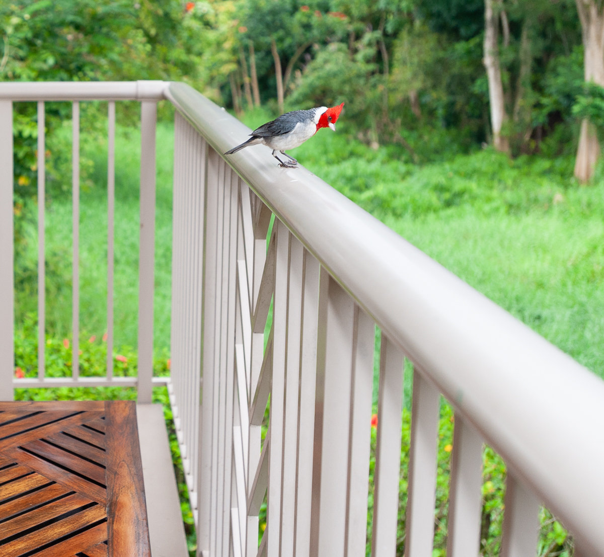 Princeville Vacation Rental