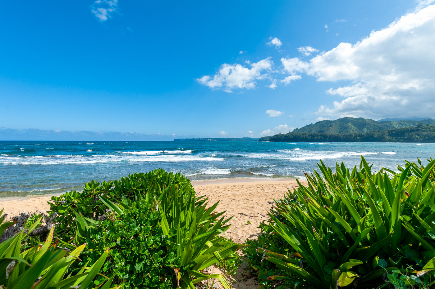 Hanalei Vacation Rental