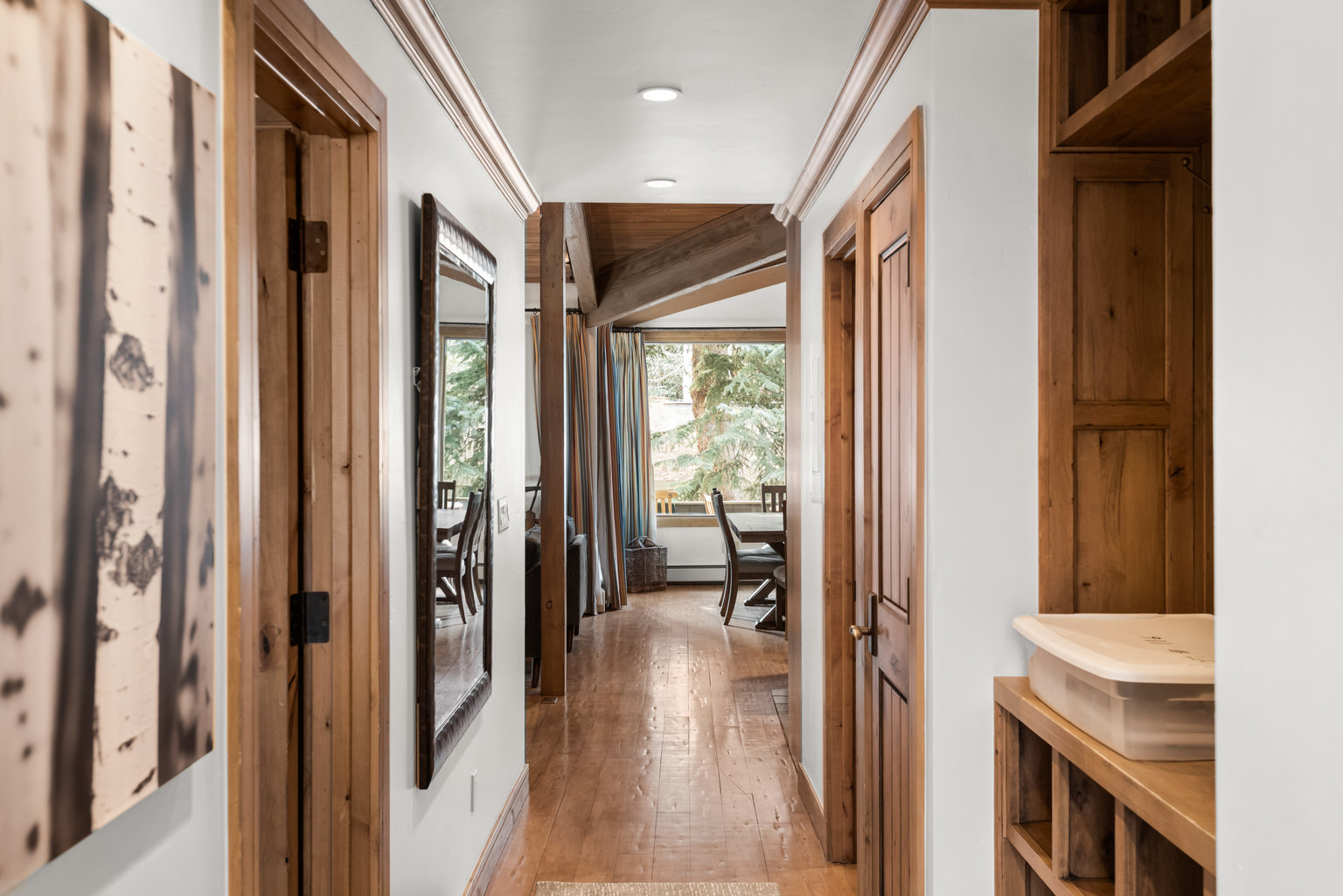 Aspen Vacation Rental