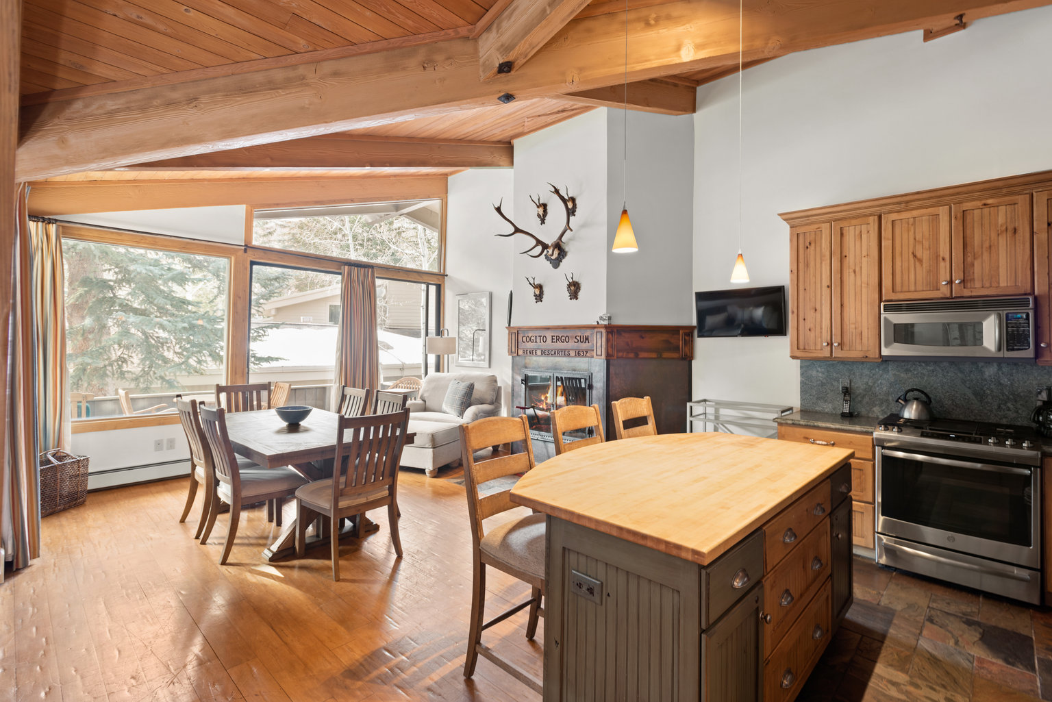 Aspen Vacation Rental