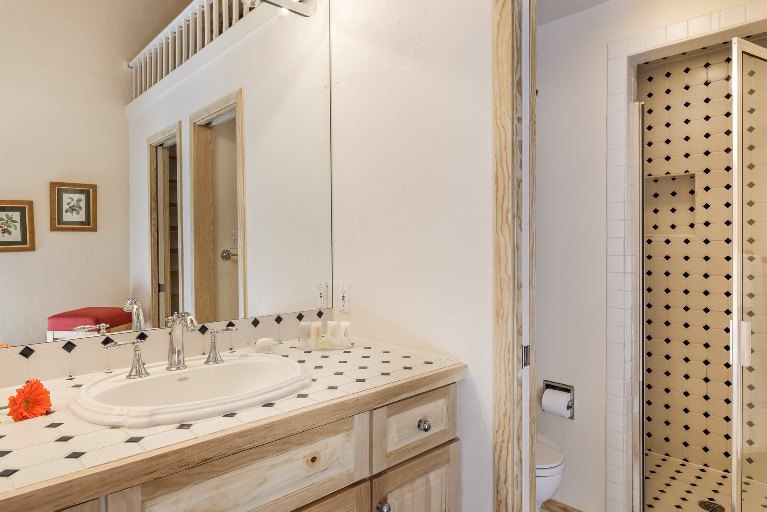 Aspen Vacation Rental