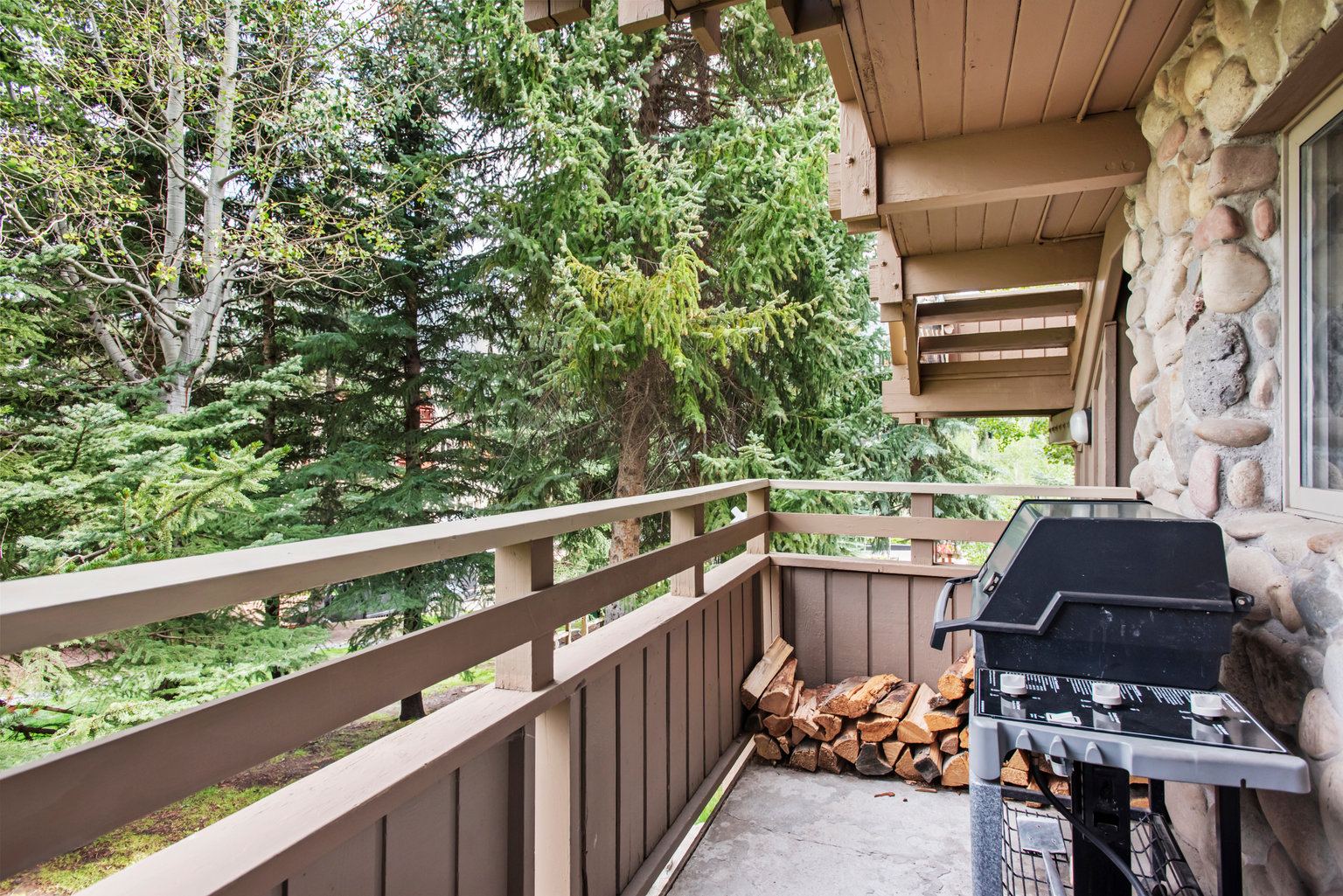 Aspen Vacation Rental