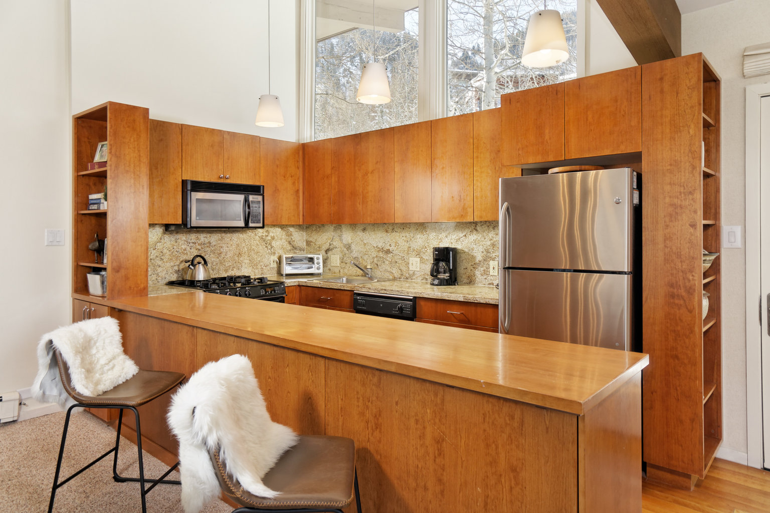 Aspen Vacation Rental