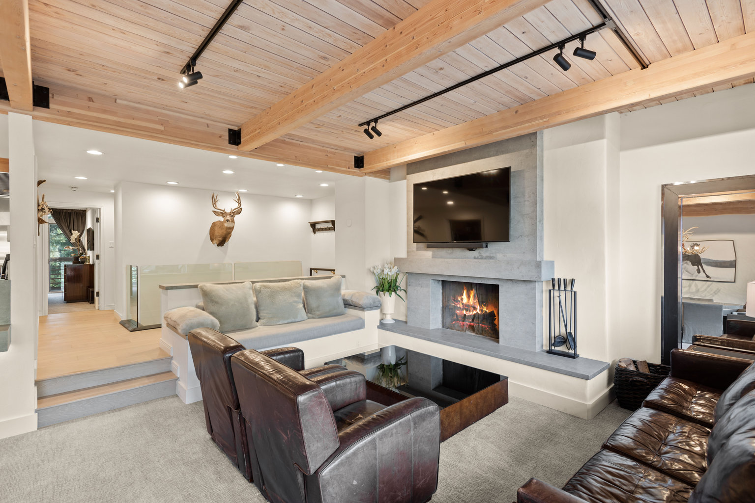 Aspen Vacation Rental