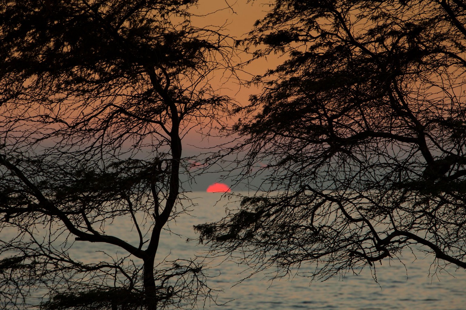 Kihei Vacation Rental